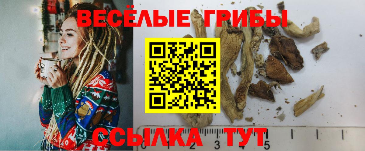 Галлюциногенные грибы ЛСД Фрязино